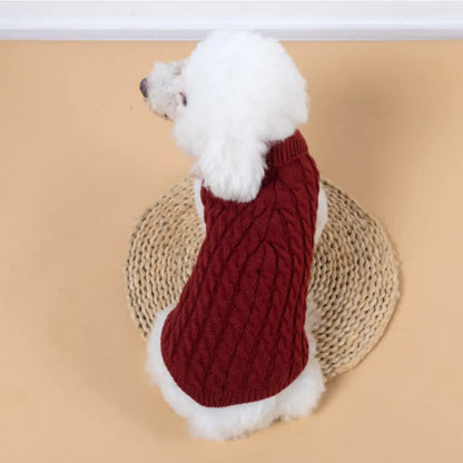 Roupa de Tricô para Cães.