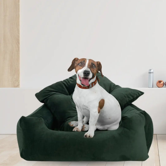 Cama para Pets com Almofada Removível.