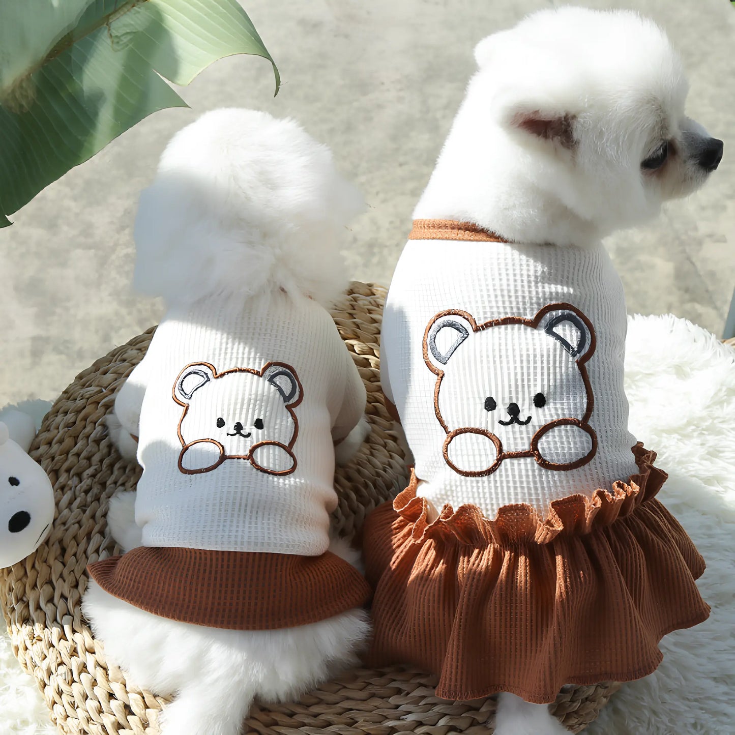 Roupa de Urso para Pets - Aquelas Patas.